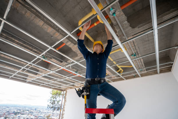 Best Plumbing Repair Near Me  in Marion, IL